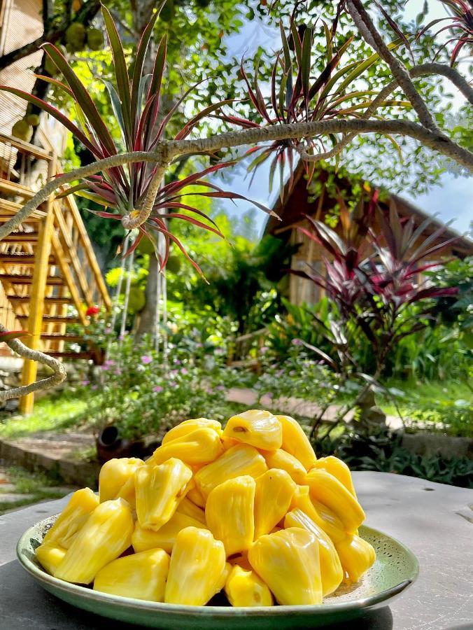 Trang An Lamia Bungalow Ninh Bình Exteriör bild