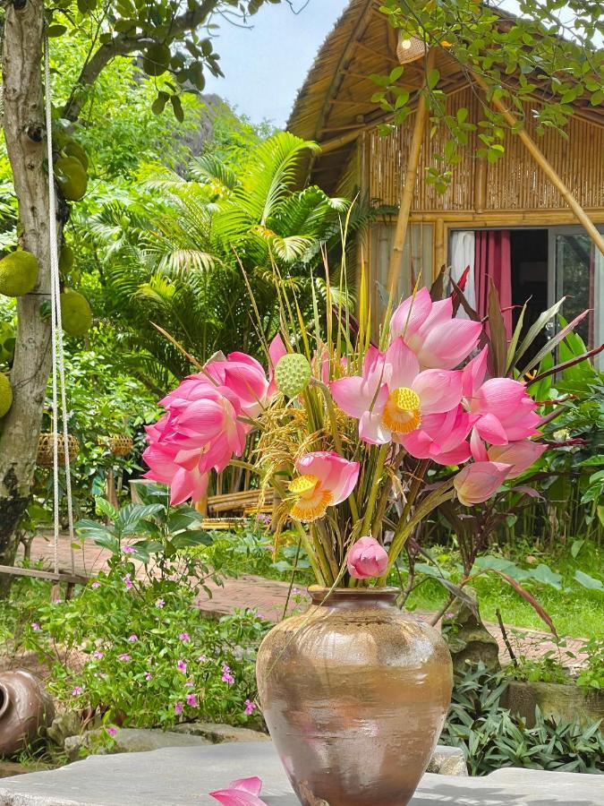 Trang An Lamia Bungalow Ninh Bình Exteriör bild